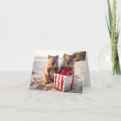 Vrolijke Kerstquokka's op het strand - Kaart (Voorkant)