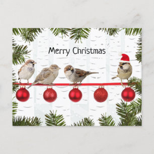 Vrolijke kerstvogels op een ledemaat feestdagenkaart