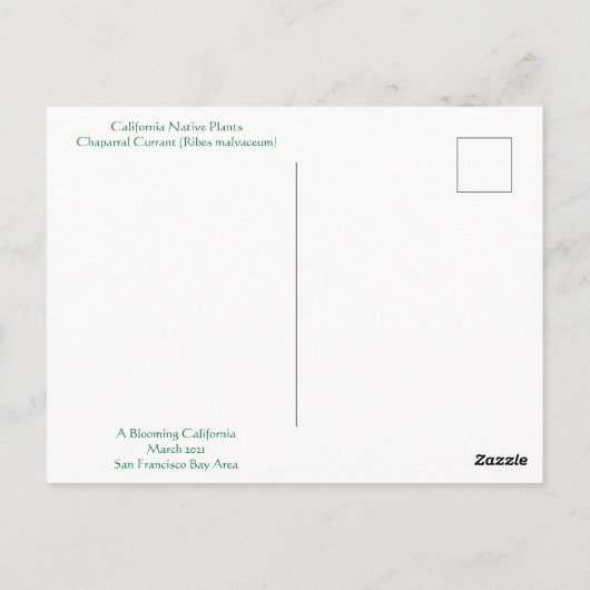 Vrolijke lente! Briefkaart (Achterkant)