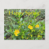 Vrolijke lente! briefkaart (Voorkant)