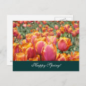 Vrolijke lente! briefkaarten kleurrijke Tulpventie (Voorkant / Achterkant)