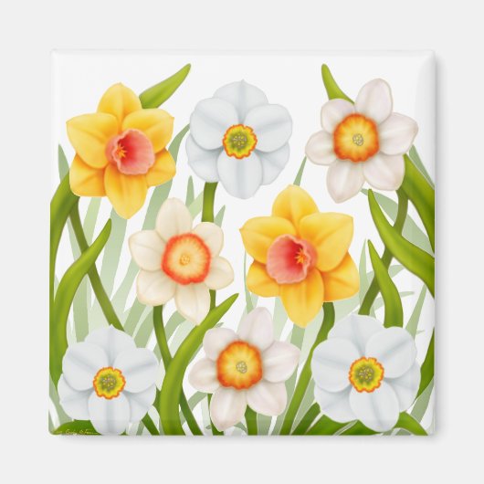 Vrolijke lente Daffodils Magnet Square (Voorkant)