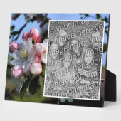 Vrolijke lentebloesems Voeg je eigen foto toe Fotoplaat (Zijkant)