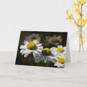 Vrolijke madeliefjes kaart (Gele Bloem)