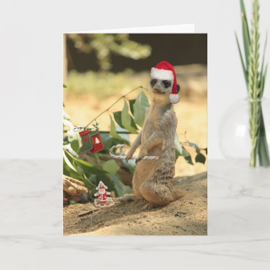 Vrolijke Meerkat Feestdagen Kaart (Voorkant)