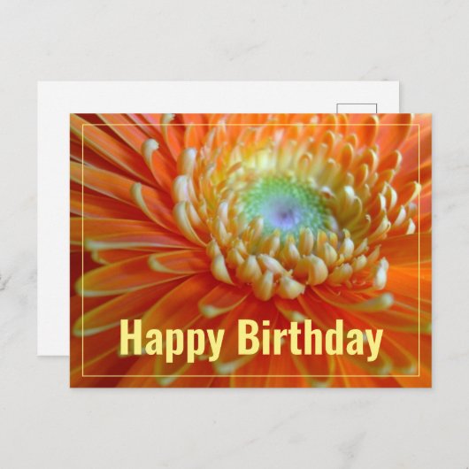 Vrolijke Oranje Gerber Verjaardagswensen Briefkaart (Voorkant / Achterkant)