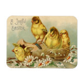  vrolijke paaskuikens magneet (Horizontaal)