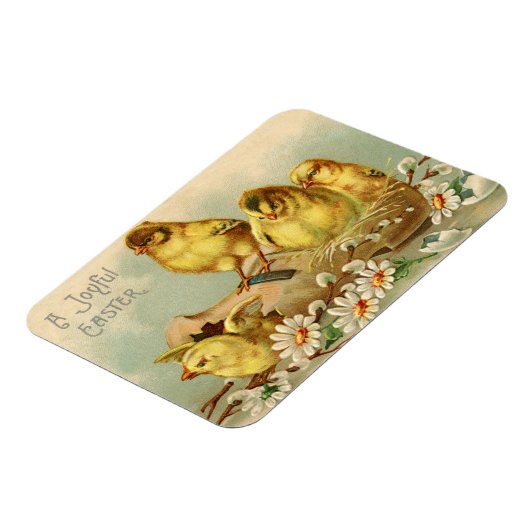  vrolijke paaskuikens magneet (Linkerzijde)