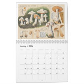 VROLIJKE PADDENSTOELEN KALENDER (Jan 2026)