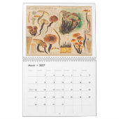 VROLIJKE PADDENSTOELEN KALENDER (Mar 2027)