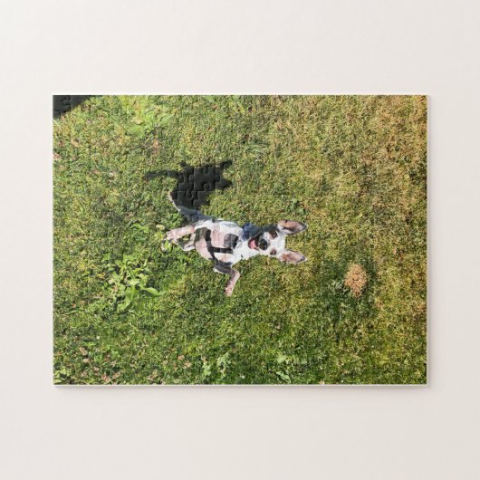 vrolijke parelpuzzel legpuzzel (Horizontaal)