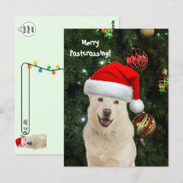 Vrolijke postcrossing van kristal de husky hond briefkaart
