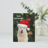 Vrolijke postcrossing van kristal de husky hond briefkaart (Staand voorkant)