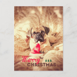 Vrolijke Pug van Kerstmis Feestdagenkaart