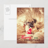 Vrolijke Pug van Kerstmis Feestdagenkaart (Voorkant / Achterkant)