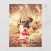 Vrolijke Pug van Kerstmis Feestdagenkaart (Voorkant)