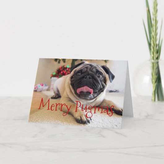 Vrolijke Pugmas kerstkaart Feestdagen Kaart (Voorkant)