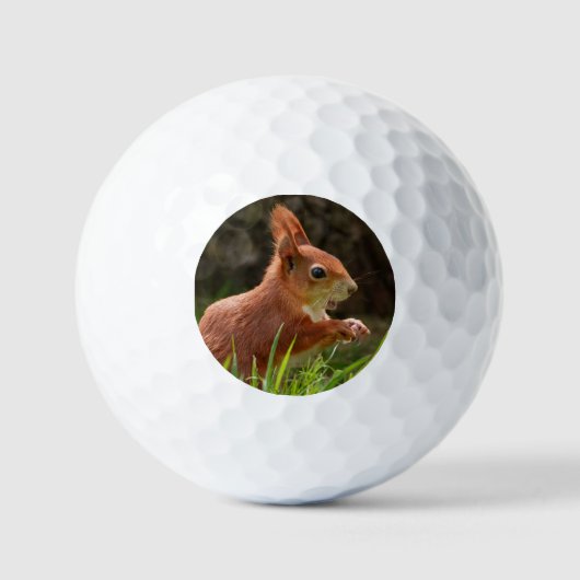 vrolijke rode eekhoorn golfballen (Voorkant)