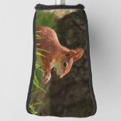 vrolijke rode eekhoorn golfheadcover (Draai 90)