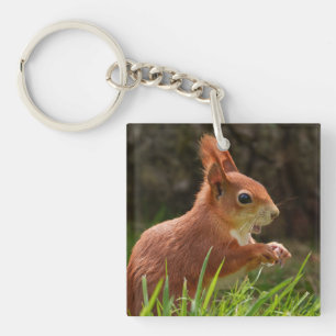 vrolijke rode eekhoorn sleutelhanger