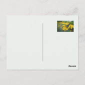 Vrolijke rustieke zonnebloem briefkaart (Achterkant)