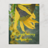 Vrolijke rustieke zonnebloem briefkaart (Voorkant)