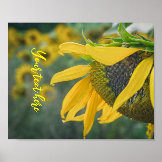 Vrolijke rustieke zonnebloem poster (Voorkant)