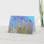 Vrolijke, serene verhalen in Natuur Dew Drop Kaart (Voorkant)