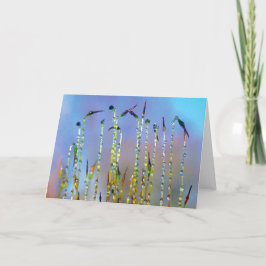 Vrolijke, serene verhalen in Natuur Dew Drop Kaart