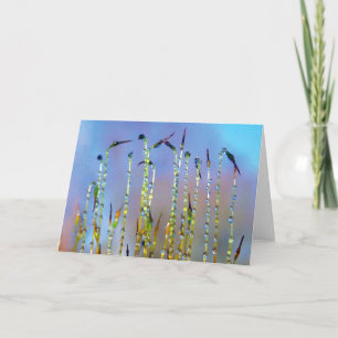 Vrolijke, serene verhalen in Natuur Dew Drop Kaart
