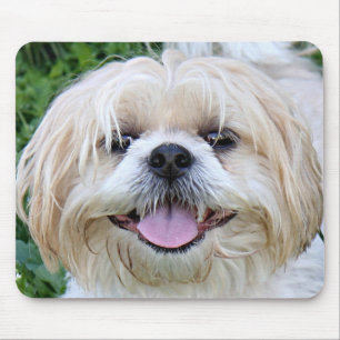 vrolijke shih tzu muismat