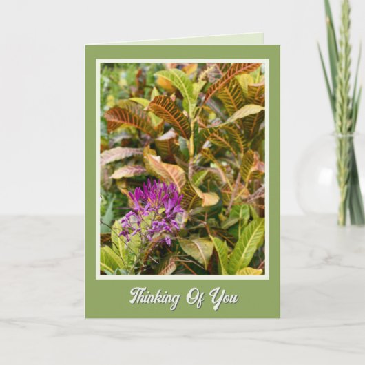 Vrolijke Snel Herstel Denk Aan Jou Kaart (Voorkant)