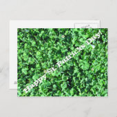 Vrolijke St. Patricks Dag! Briefkaart (Voorkant / Achterkant)
