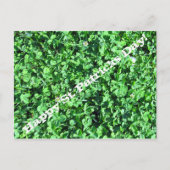 Vrolijke St. Patricks Dag! Briefkaart (Voorkant)