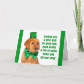 Vrolijke St. Patrick's Day for Iedereen Cute Lab P Feestdagen Kaart (Voorkant)