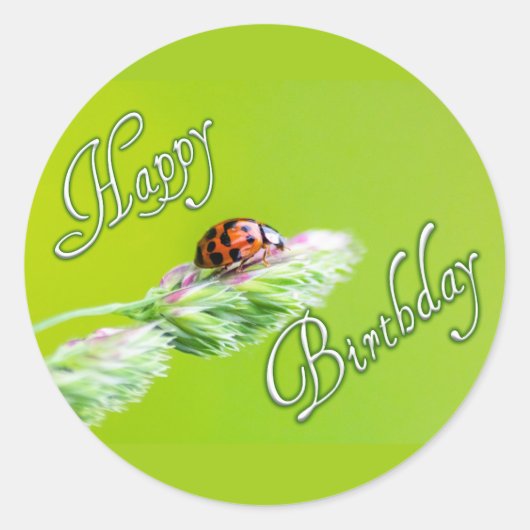 Vrolijke stickers met een ladybug. (Voorkant)
