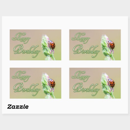 Vrolijke stickers met een ladybug. (Vel)