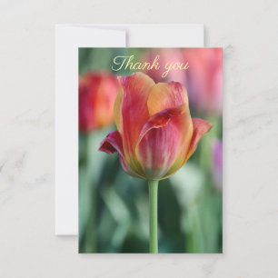 Vrolijke Tulp Bedankkaart