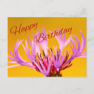 Vrolijke verjaardag! briefkaart