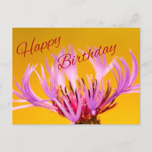 Vrolijke verjaardag! briefkaart (Voorkant)