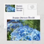 Vrolijke zuster Week! briefkaarten Blue Hydrangeas (Voorkant / Achterkant)