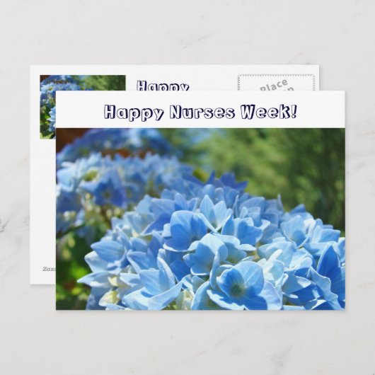 Vrolijke zuster Week! briefkaarten Blue Hydrangeas (Voorkant / Achterkant)