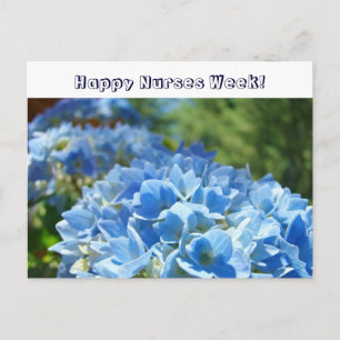 Vrolijke zuster Week! briefkaarten Blue Hydrangeas