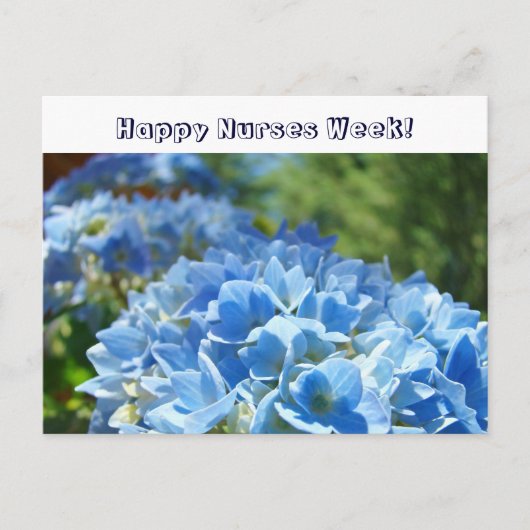 Vrolijke zuster Week! briefkaarten Blue Hydrangeas (Voorkant)
