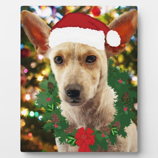 Vrolijkheid voor jou Puppy Fotoplaat (Voorkant)