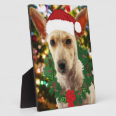 Vrolijkheid voor jou Puppy Fotoplaat (Zijkant)