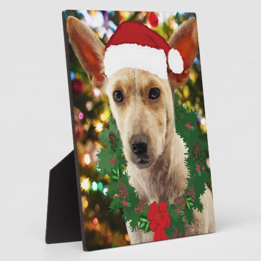 Vrolijkheid voor jou Puppy Fotoplaat (Zijkant)