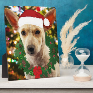 Vrolijkheid voor jou Puppy Fotoplaat