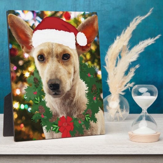 Vrolijkheid voor jou Puppy Fotoplaat (Zijkant)