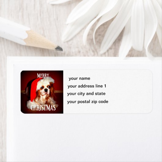 vrory kerst santa cav etiket (Insitu)